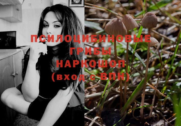 ешки Алексеевка