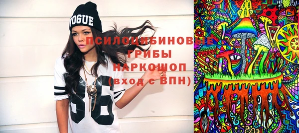 индика Нягань