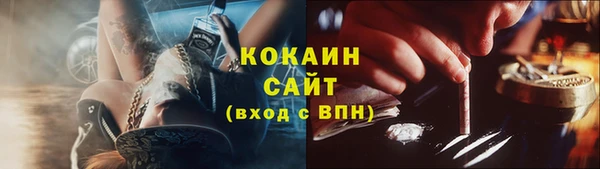 стаф Алзамай