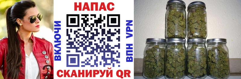 Бошки Шишки марихуана  ОМГ ОМГ ONION  Суджа 